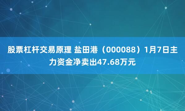 股票杠杆交易原理 盐田港（000088）1月7日主力资金净卖出47.68万元