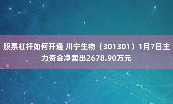 股票杠杆如何开通 川宁生物（301301）1月7日主力资金净卖出2678.90万元