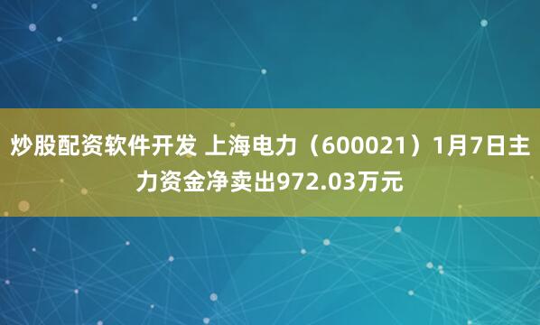 炒股配资软件开发 上海电力（600021）1月7日主力资金净卖出972.03万元