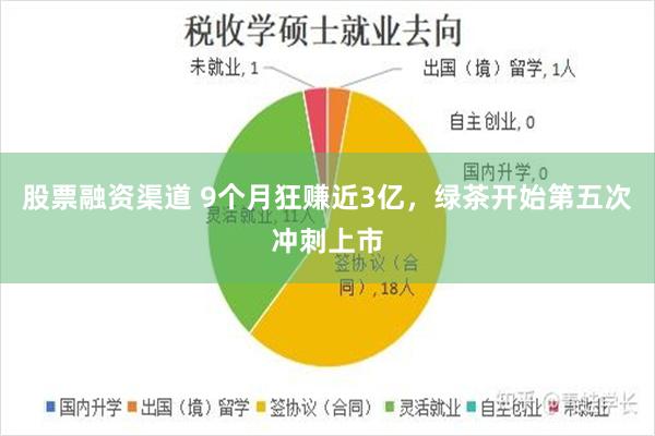 股票融资渠道 9个月狂赚近3亿，绿茶开始第五次冲刺上市