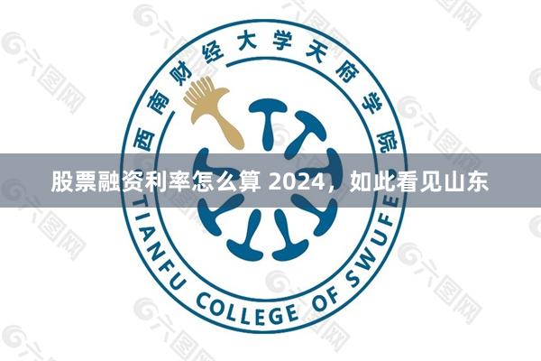 股票融资利率怎么算 2024，如此看见山东