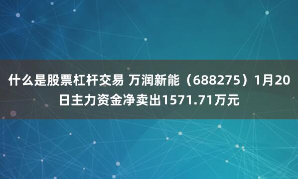 什么是股票杠杆交易 万润新能（688275）1月20日主力资金净卖出1571.71万元