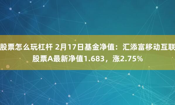 股票怎么玩杠杆 2月17日基金净值：汇添富移动互联股票A最新净值1.683，涨2.75%