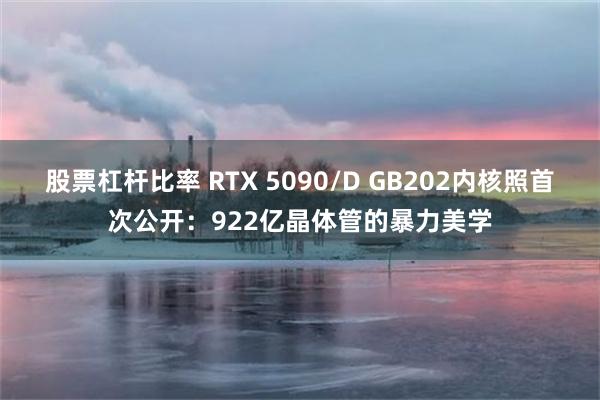 股票杠杆比率 RTX 5090/D GB202内核照首次公开：922亿晶体管的暴力美学