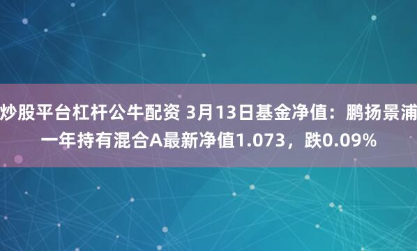 炒股平台杠杆公牛配资 3月13日基金净值：鹏扬景浦一年持有混合A最新净值1.073，跌0.09%